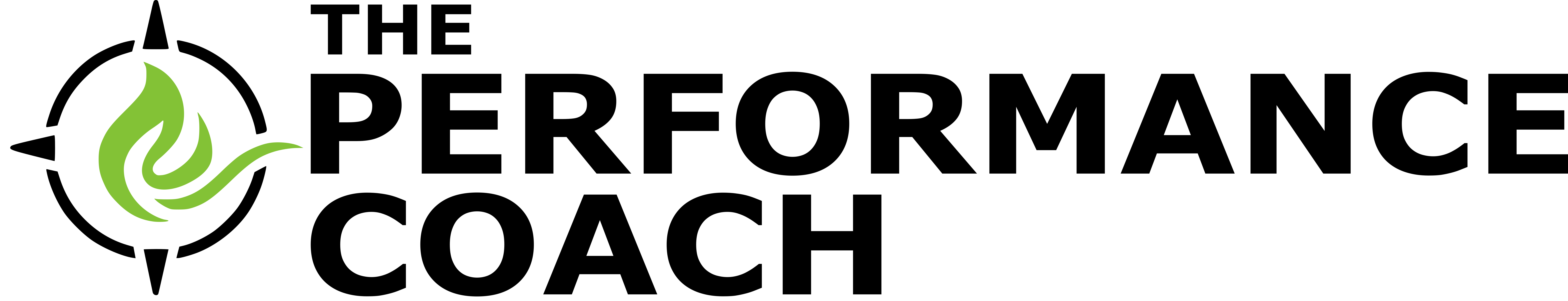 The Performance Coach